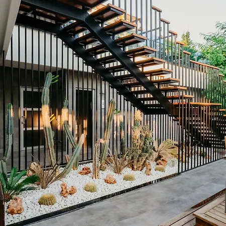 Selene & (adults Only) 5*